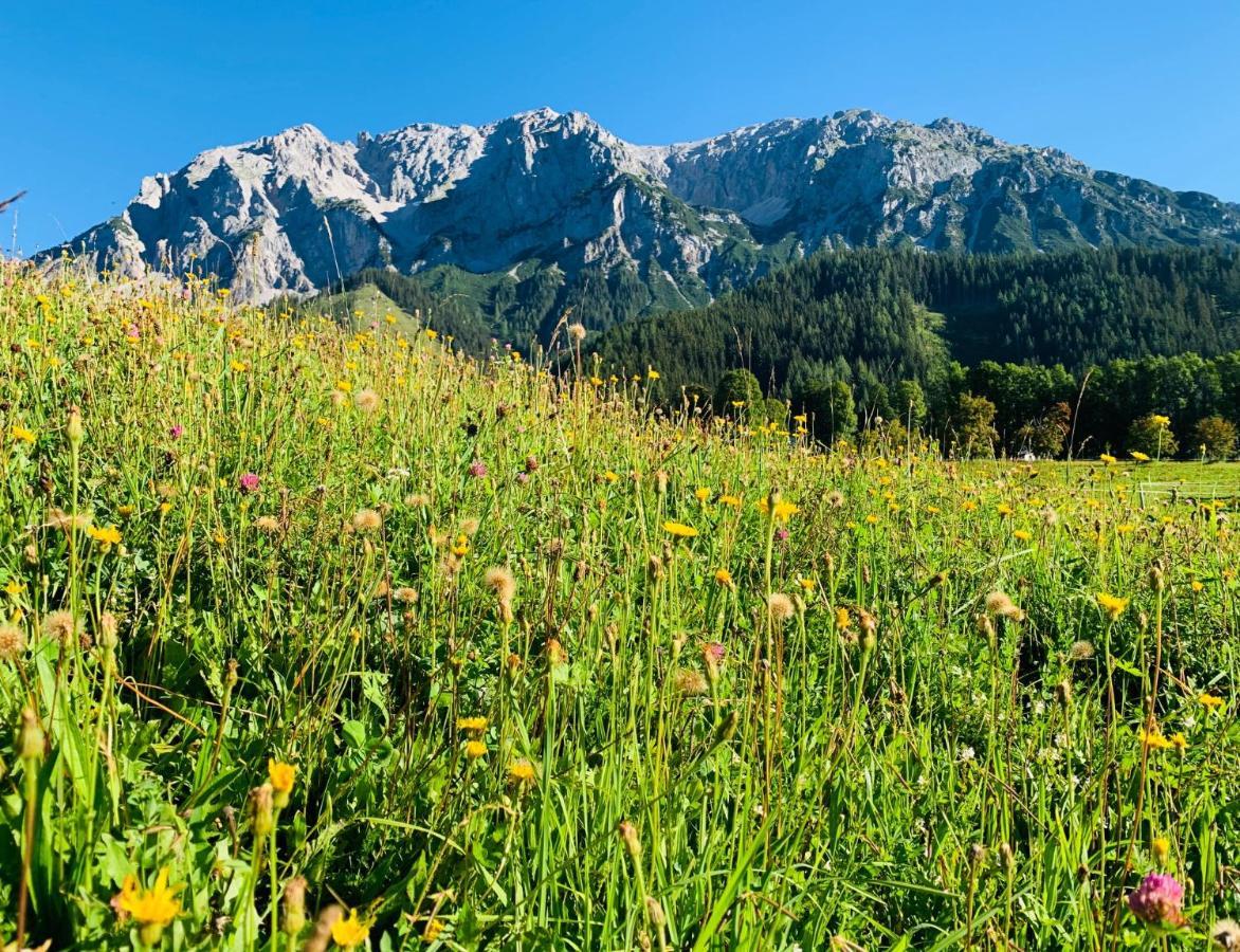 Bergkristallhaus Ramsau am Dachstein Exterior foto