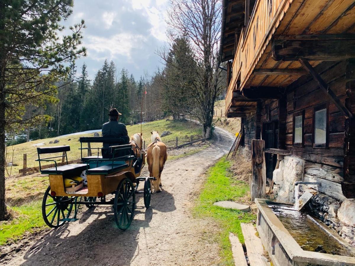 Bergkristallhaus Ramsau am Dachstein Exterior foto